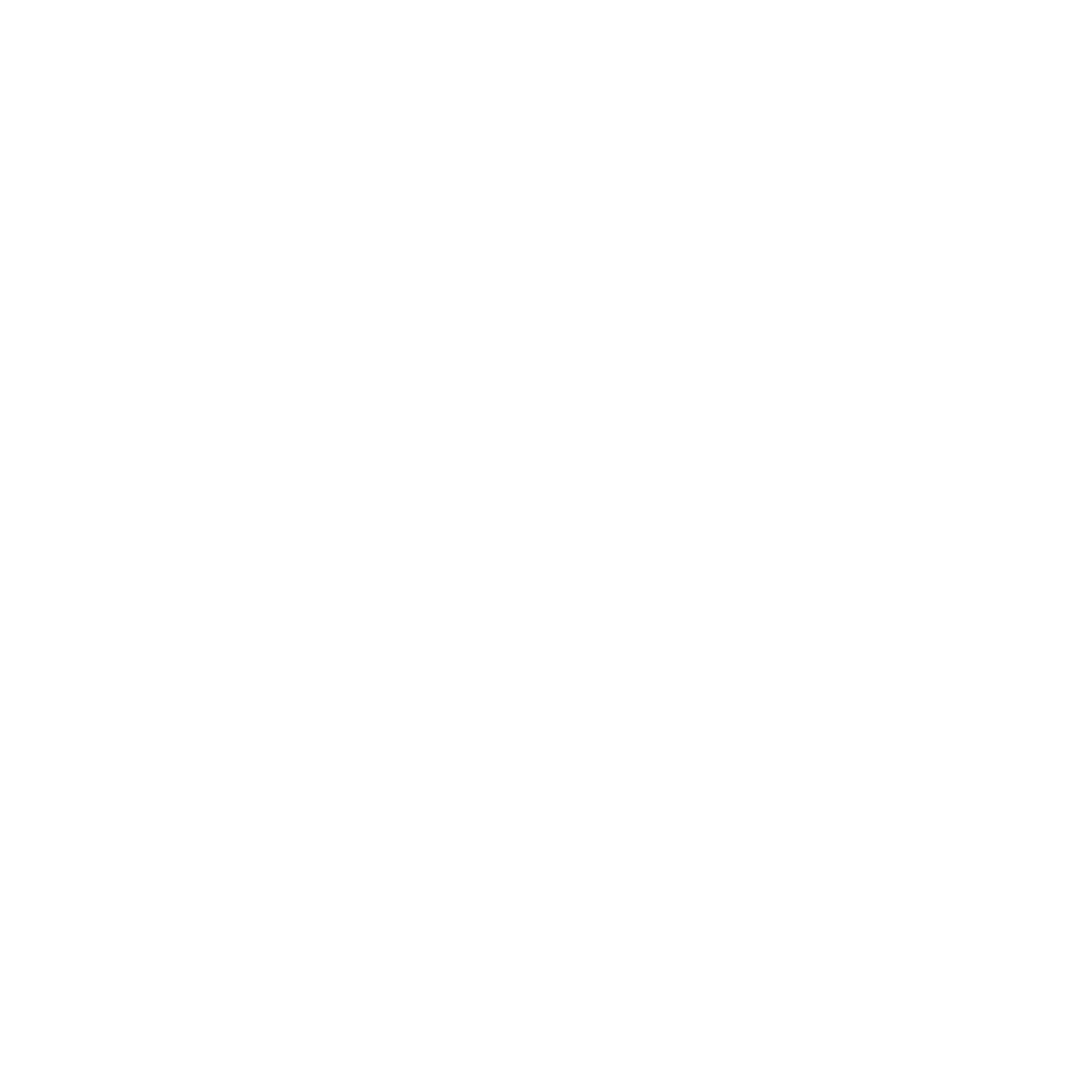 Next Day Fix